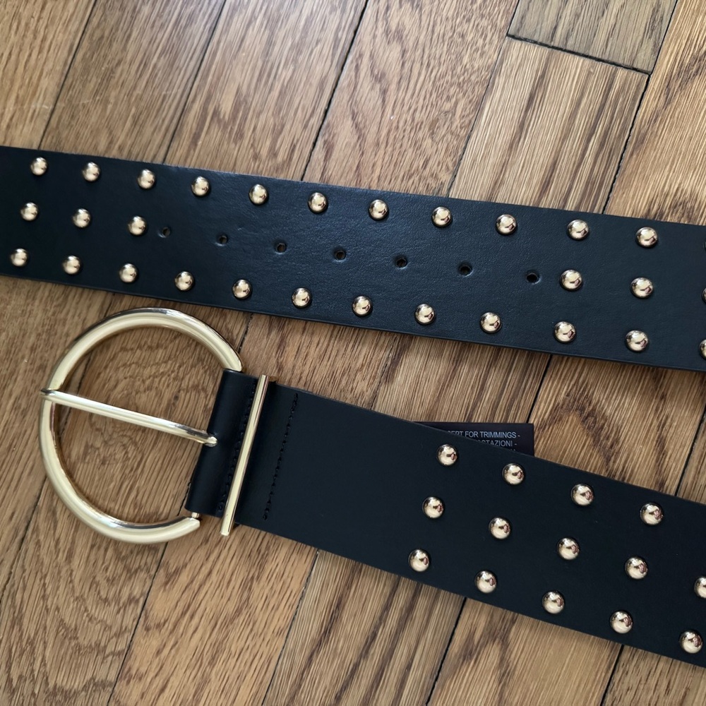 Zara Black Belt with Gold Accents